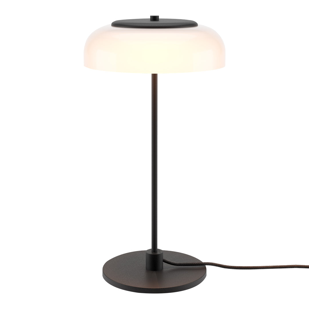 Blossi Modern LED Table Lamp - Adjustable Brightness, USB Charging Port, Night Light for Bedroom, Living Room, Office - Warm White & Cool White Light Modes