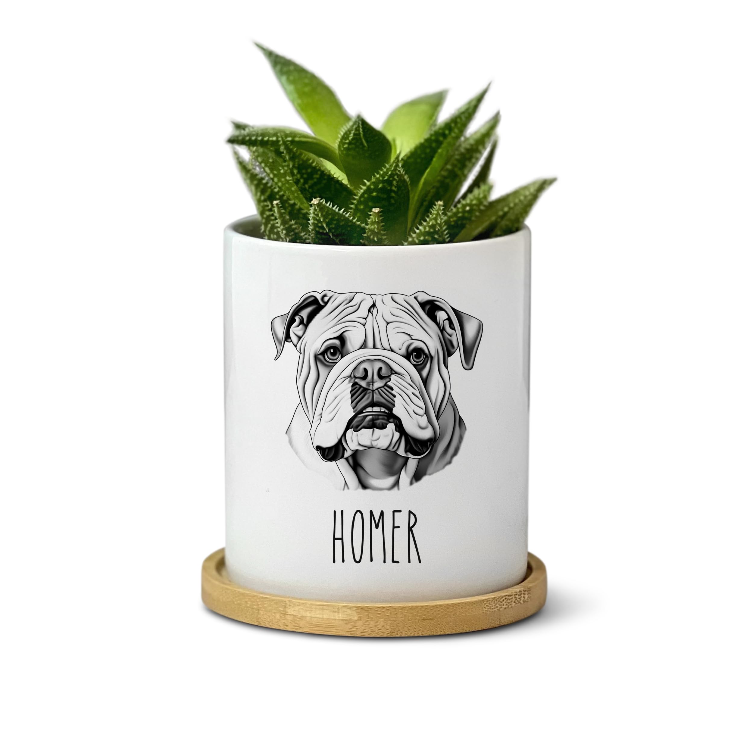 English Bulldog Planter Pot - Custom Personalized Dog Lover Gift for Mom Dad - Unique Pet Name Present for Fur Mama - Cute Table Decor for Home Office Garden