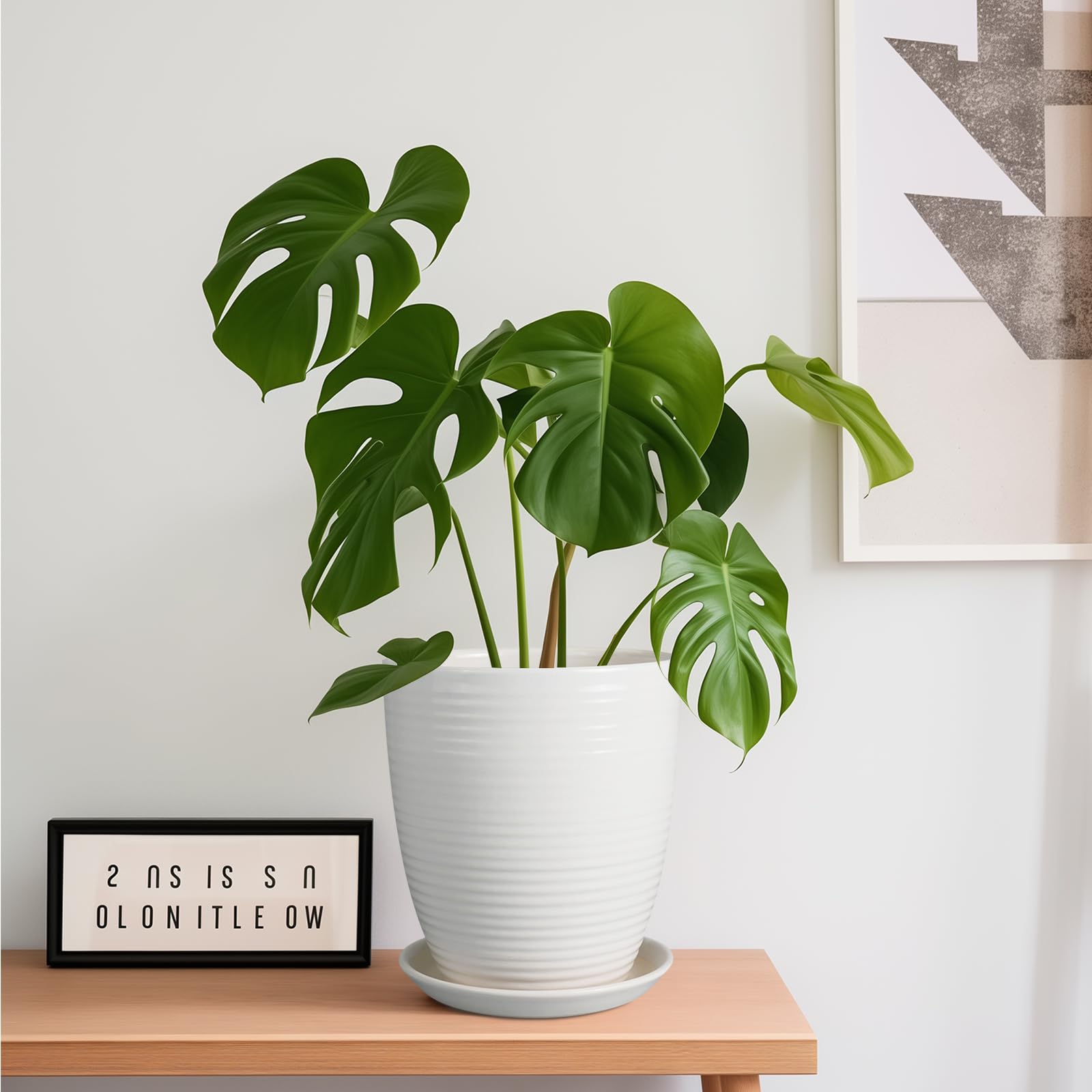 8 Inch White Ceramic Planter Pot with Drainage Hole & Saucer - Modern Round Flower Pot for Indoor & Outdoor Plants - Perfect for Home Decor, Office, Garden, and Patio