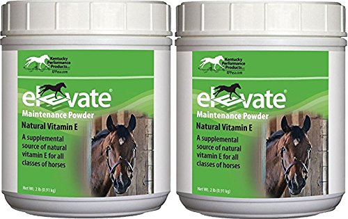 Kentucky Performance Elevate Maintenance Power Horse Supplement - 2 Pack (2 lbs Each) | Natural Vitamin E for Joint & Muscle Support | Ideal for Daily Equine Care & Performance Horses