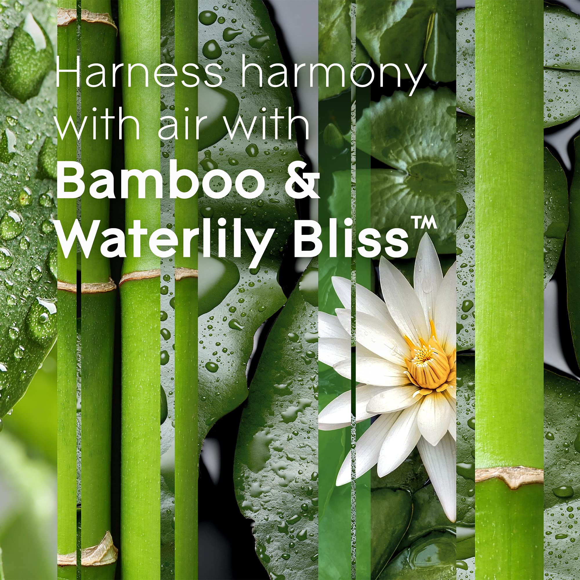 Glade Bamboo & Waterlily Bliss Scented Candle - Essential Oil Infused 3-Wick Air Freshener Candle, 6.8 Oz (Pack of 3) | Perfect for Home, Bathroom, Bedroom & Office Relaxation