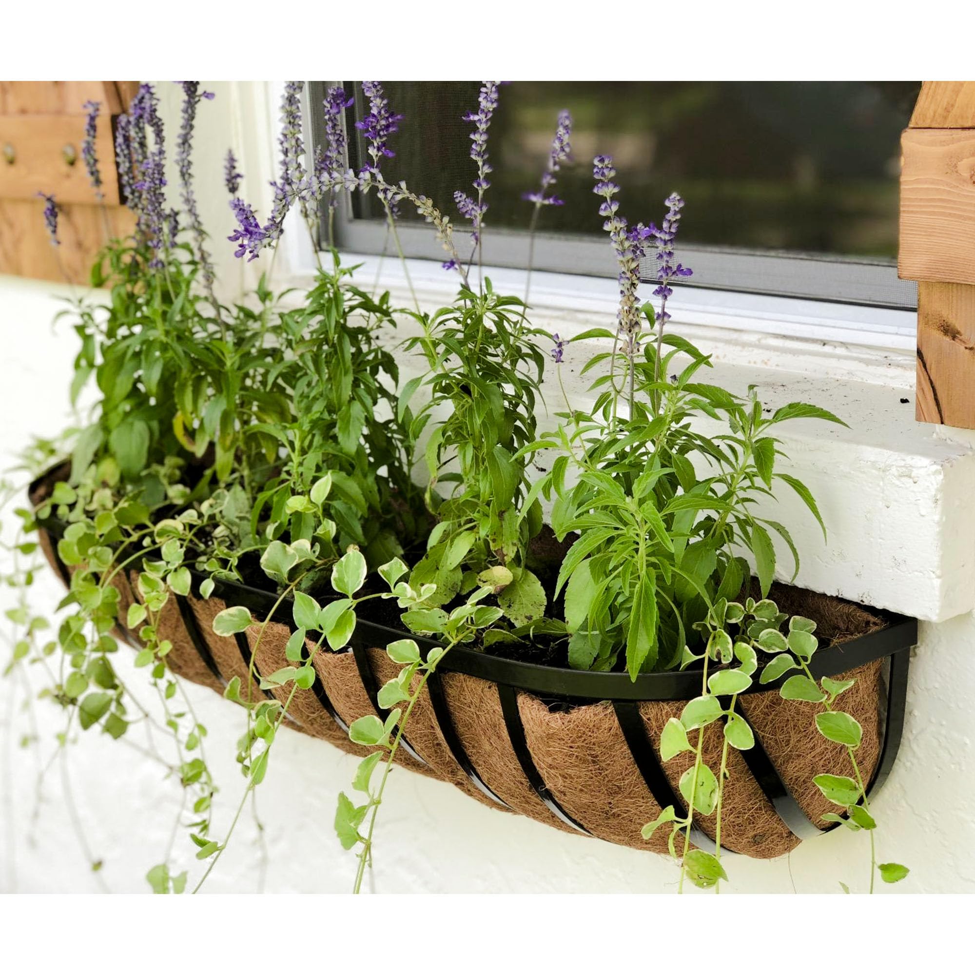Premium 36 Inch Coco Liners for Planters - 3 Pack Natural Coconut Fiber Plant Liners for Window Boxes, Wall Planters & Outdoor Planters - Perfect for Balcony Gardens, Hanging Baskets and Landscaping