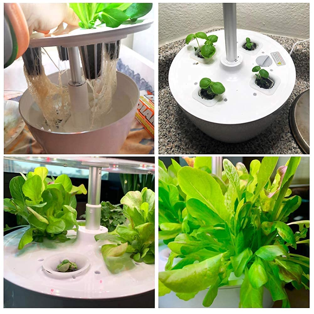 **50 Pack AeroGarden Grow Sponges - Hydroponic Plant Growing Plugs for Seed Starting & Indoor Gardening - Perfect for Herbs, Vegetables, and Flowers**