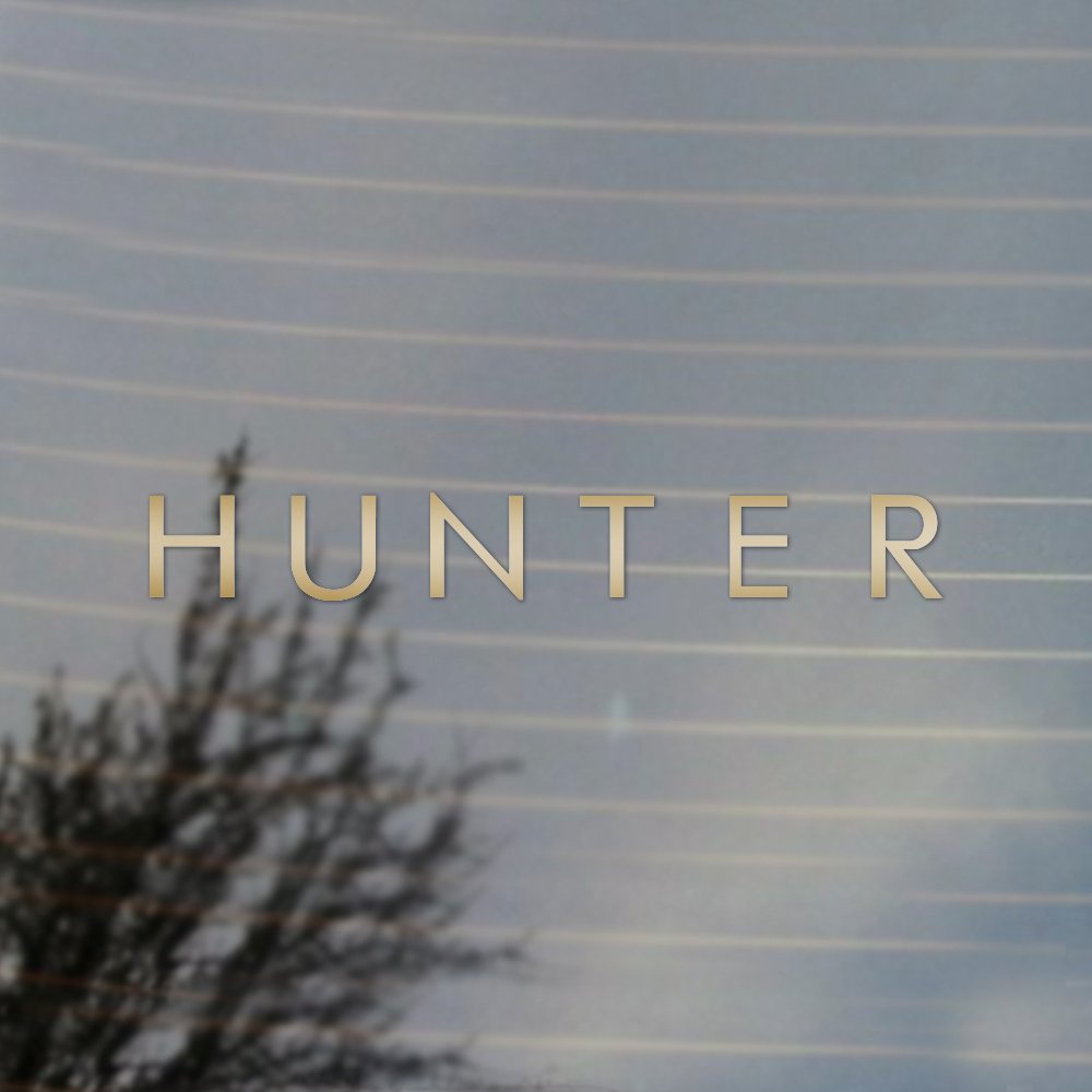 Hunter x Hunter D Anime Cosplay Vinyl Decal Sticker - Gold Gaming Fan Gear for Laptops, Phones, Cars & DIY Projects