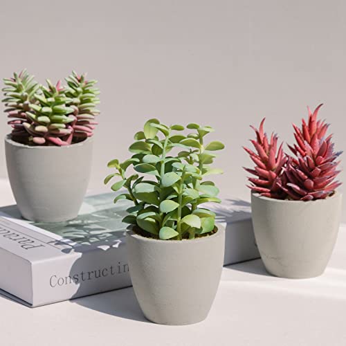 Modern Bloom