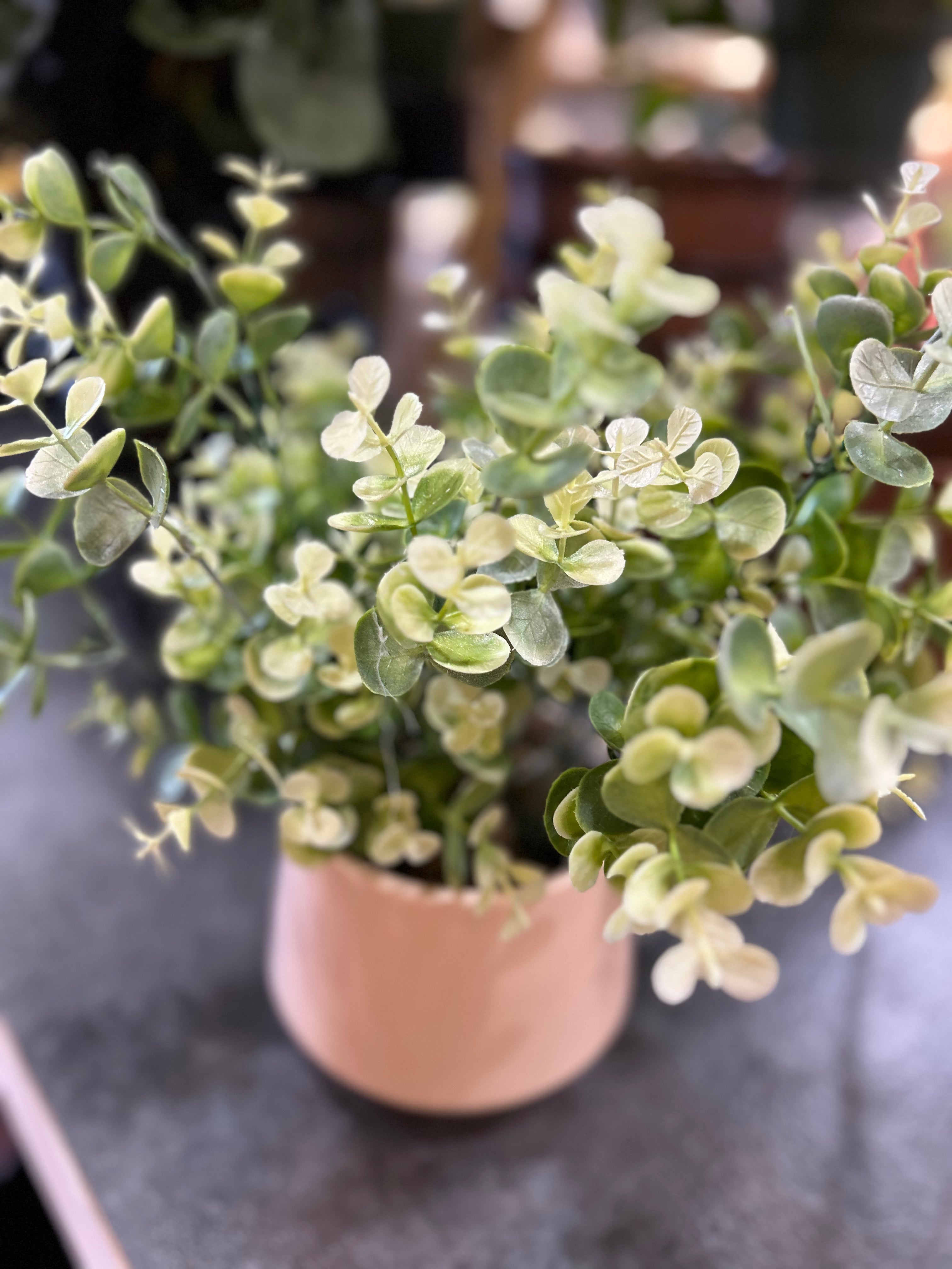 5 Inch Silk Potted Eucalyptus - Artificial Faux Eucalyptus Plant for Home Decor, Office, Wedding Centerpiece - Realistic Fake Greenery for Indoor and Outdoor Use