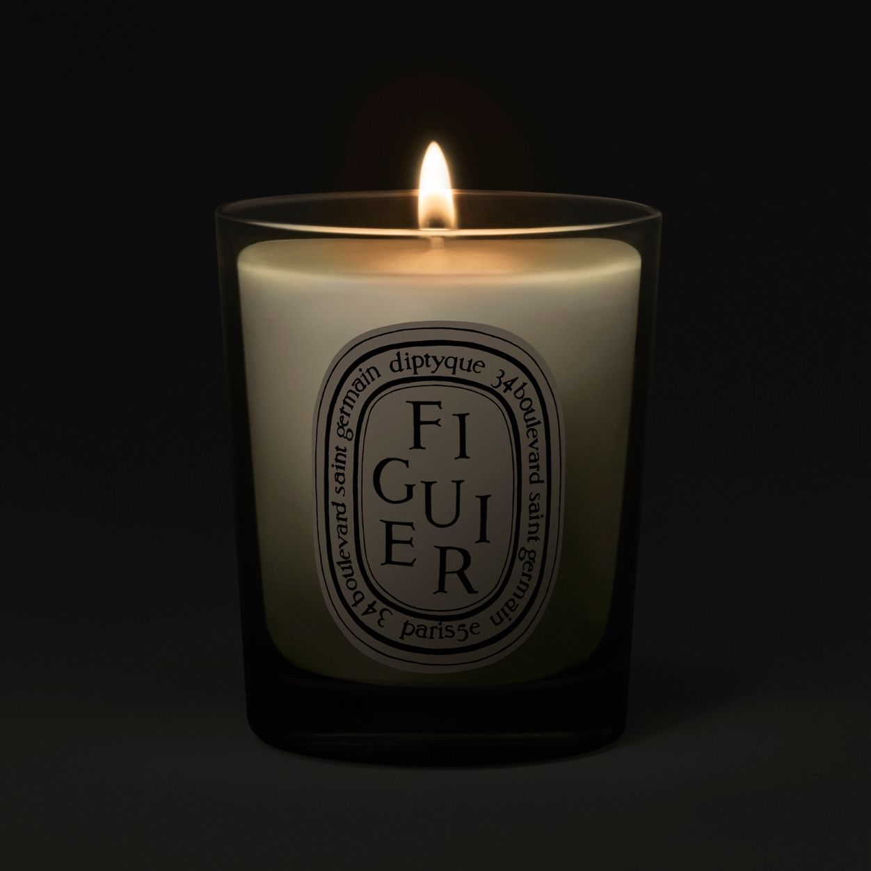 Fig Tree Scented Candle - Natural Soy Wax Aromatherapy Candle for Home, Relaxation & Meditation - Perfect for Living Room, Bedroom & Spa
