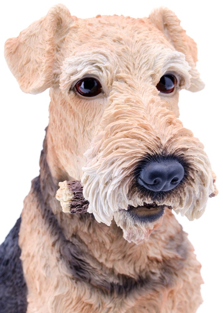 Hi-Line Gift Ltd Airedale Terrier Dog Statue - Handcrafted Home Decor for Pet Lovers, Perfect for Living Room, Office, or Garden Display