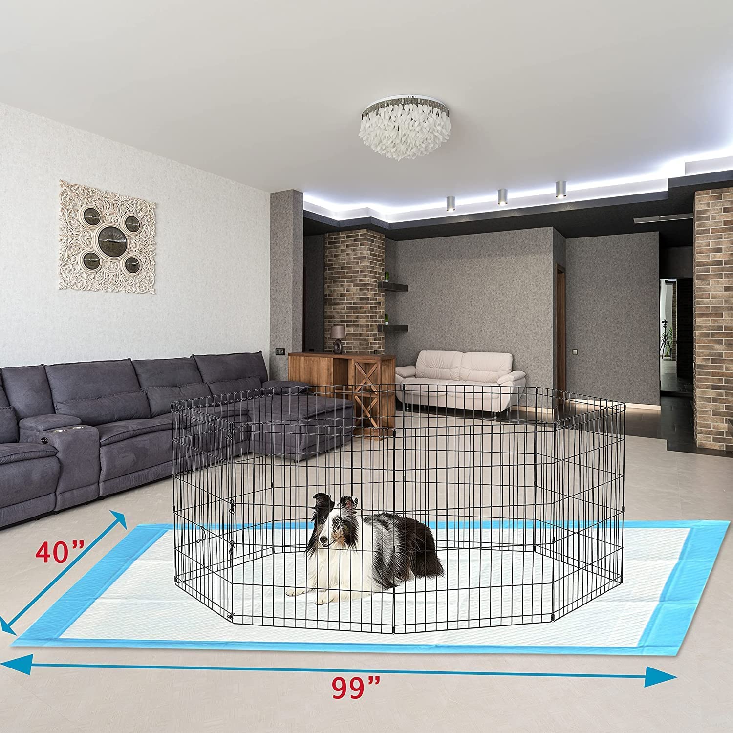 PETSWORLD Mega-Sized Dog Pee Pads (40