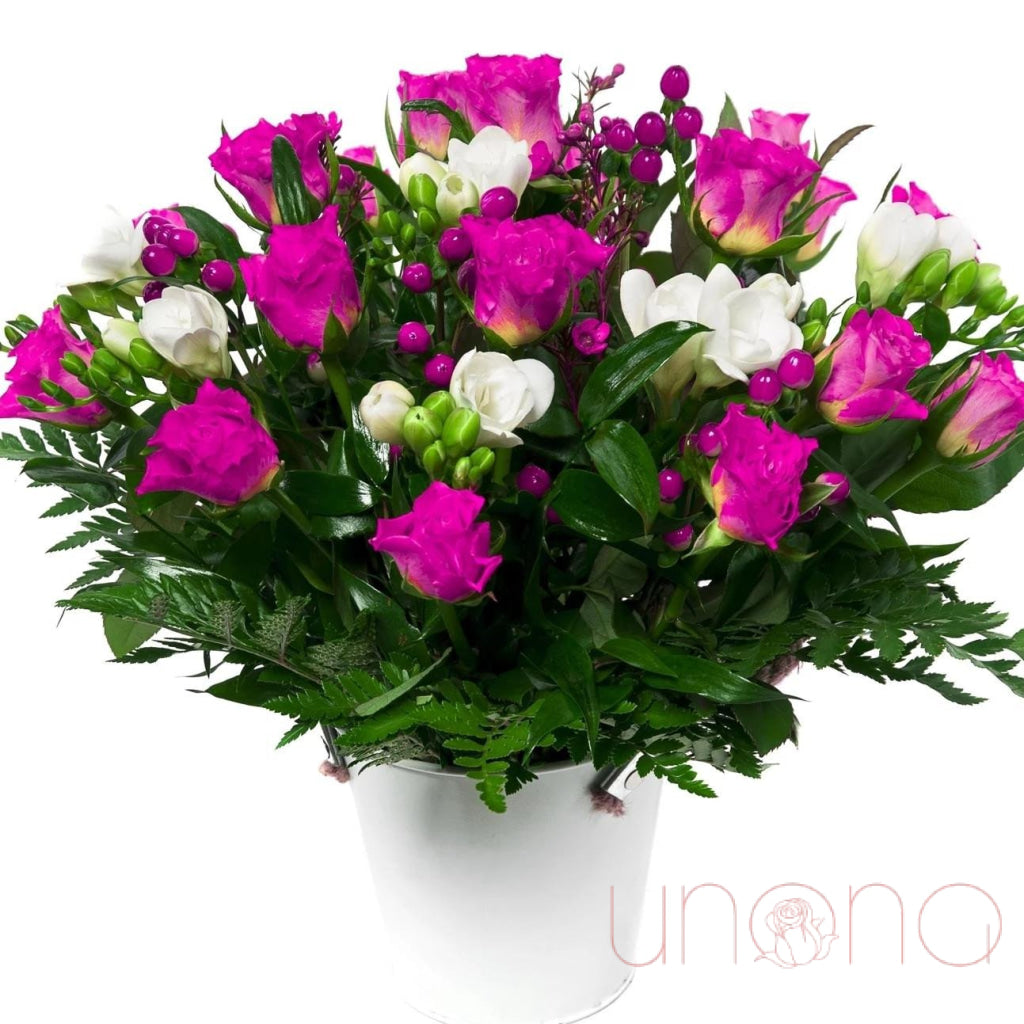 Beautiful Gladiolus Flower Bouquet - Fresh Cut Gladiolus Flowers for Weddings, Anniversaries & Home Decor