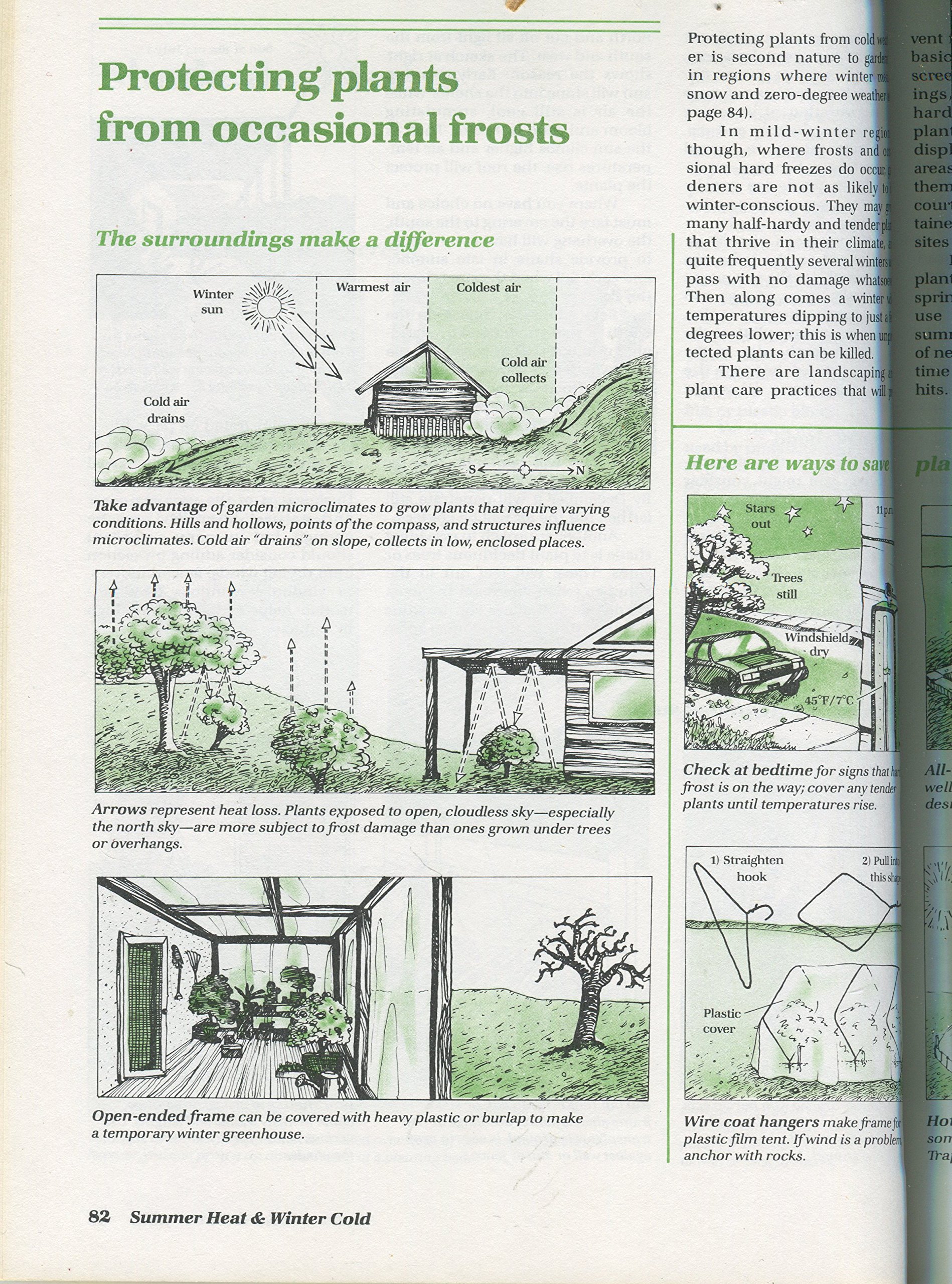 Sunset Introduction to Basic Gardening - 850 Illustrations | Beginner's Guide to Home Gardening, Landscaping & Plant Care | Perfect for Backyard, Balcony & Indoor Gardens