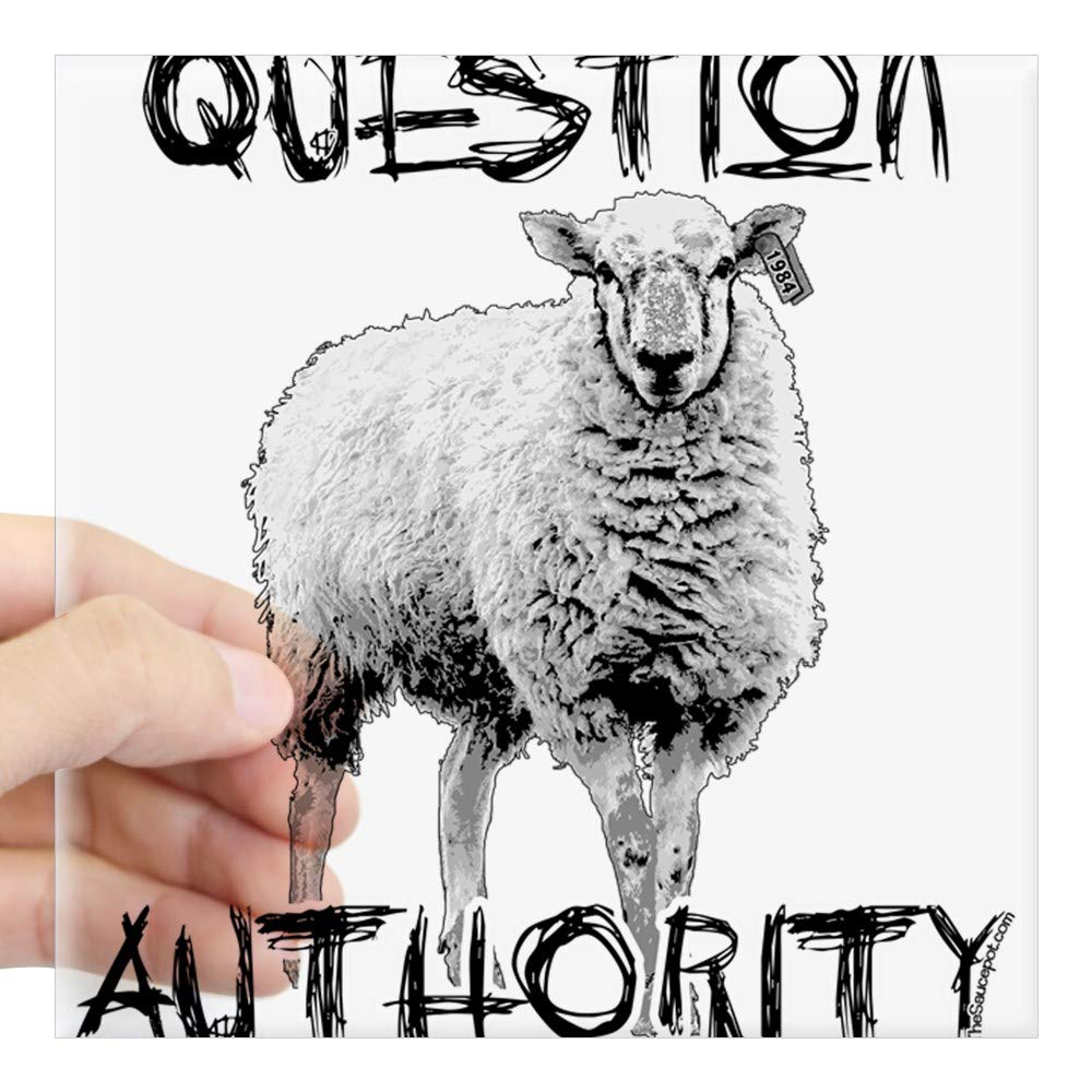 Question Authority Square Sticker - Durable Vinyl Bumper Sticker & Car Decal for Cars, Laptops, Windows | Express Your Personality with Humorous Political Statement