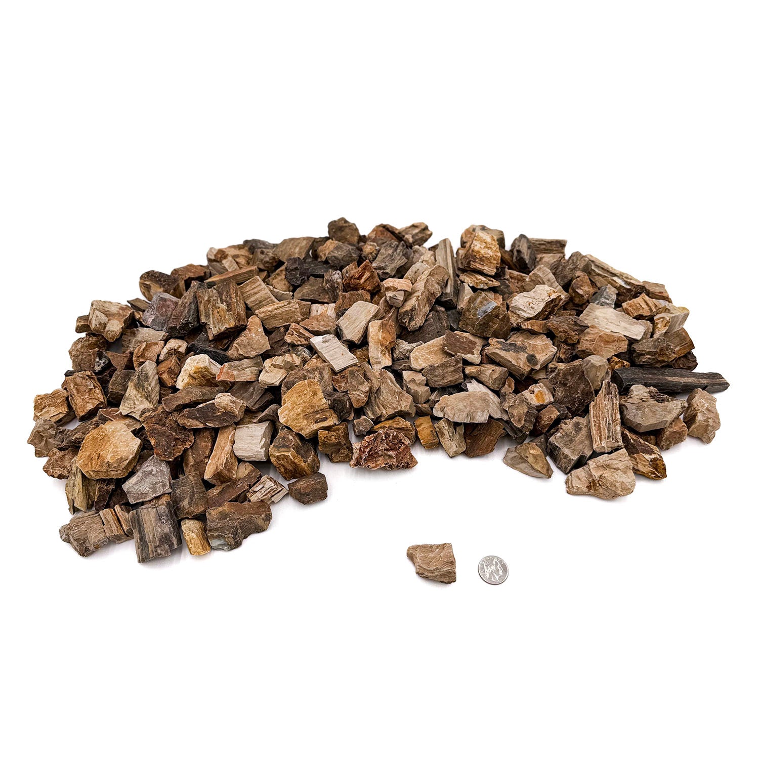 Natural Petrified Wood Stone - Unique Fossilized Wood for Home Decor, Jewelry Making & Collectibles | Perfect for DIY Crafts, Gifts & Geological Displays