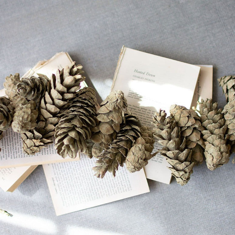 Frosted Sage Pine Cone Garland Set - 12ft Natural Christmas Decor for Fireplace Mantel, Holiday Tree, and Winter Home Decorations