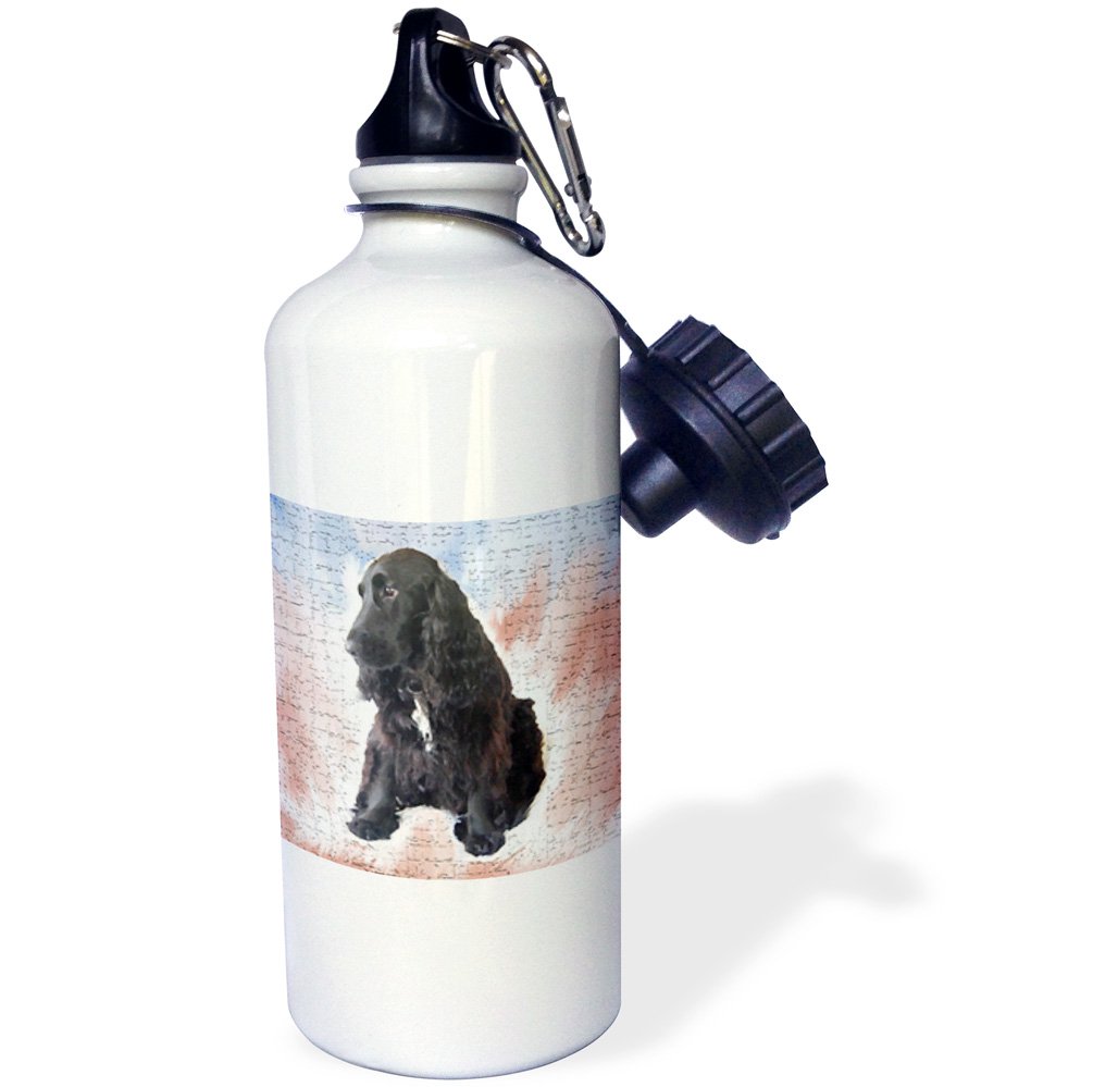 3D Rose Black Cocker Spaniel Dog Design Sports Water Bottle - 21 oz Insulated Stainless Steel White - Perfect for Gym, Hiking, Running & Outdoor Activities