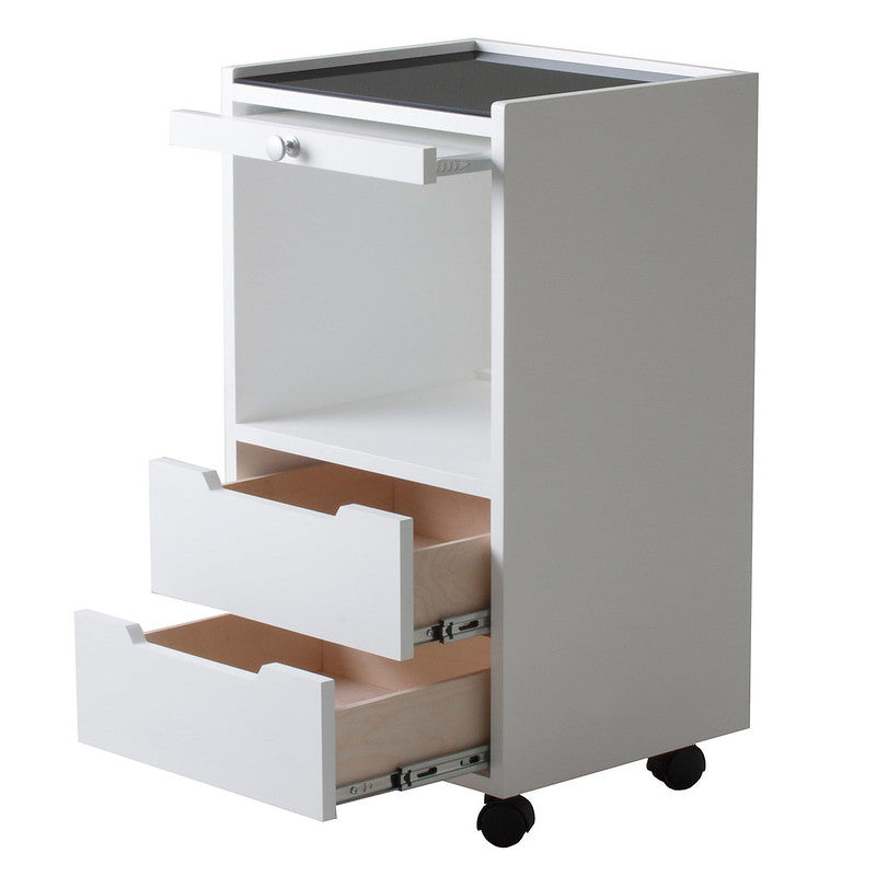 Earthlite Alpha 2 Portable Massage Table Trolley - Foldable & Lightweight for Professional Therapists | Perfect for Spa, Clinic & Home Use