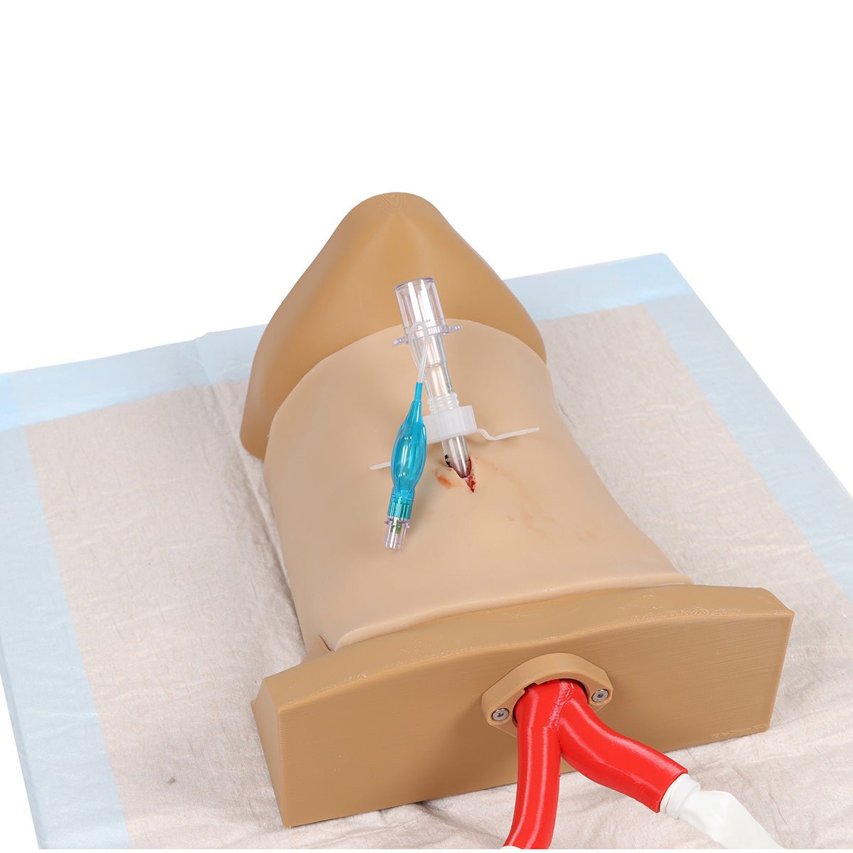 Crico Chris Cricothyrotomy Task Trainer - High-Quality Medical Simulation Model for Emergency Airway Training | Perfect for EMT, Paramedic & Medical Students Practice