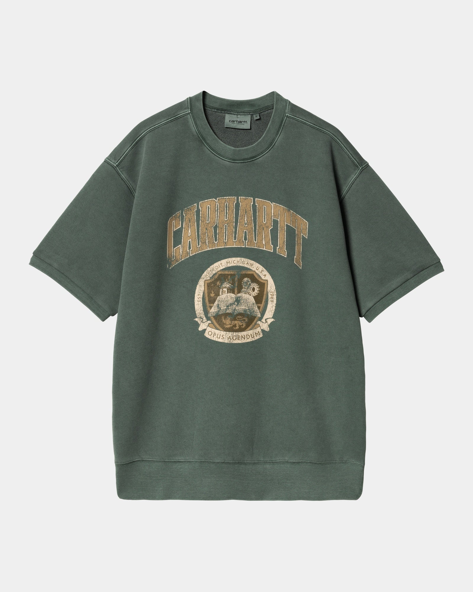 Cozy Conifer Library Sweatshirt for Women & Men - Soft Fleece Pullover Hoodie for Reading, Studying & Relaxing at Home or Campus