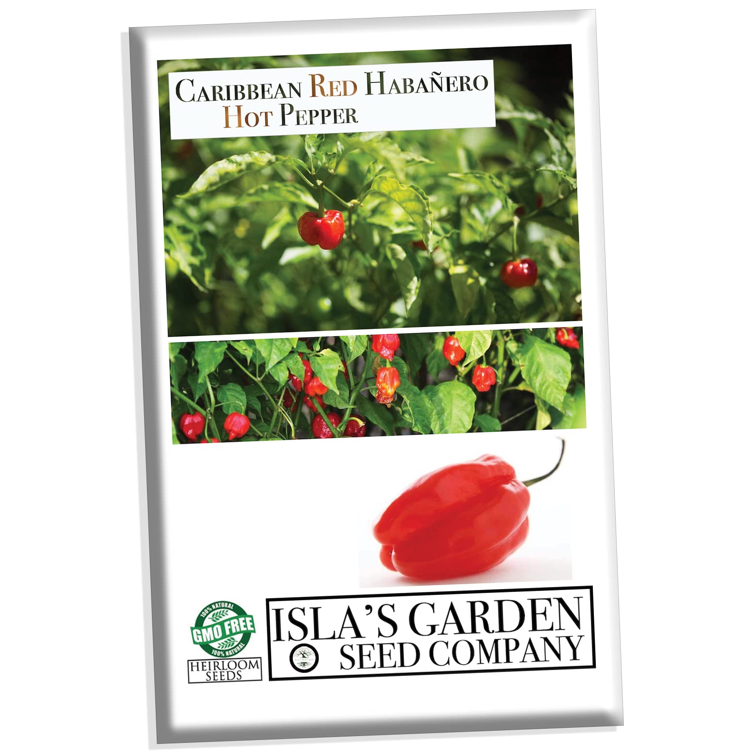 Premium Caribbean Red Habanero Hot Pepper Seeds - 25 Heirloom Non-GMO Seeds (Capsicum chinense) by Isla's Garden - Perfect for Spicy Cooking, Home Gardening & DIY Hot Sauce Making
