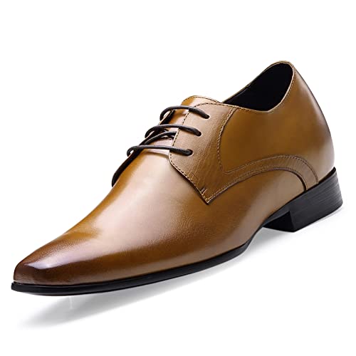 Brown-d08k02