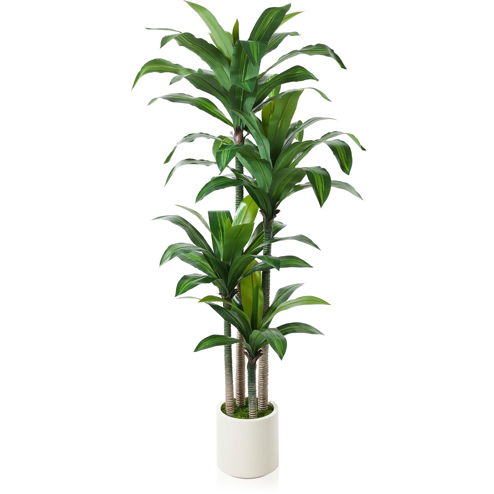 6FT Artificial Dracaena Tree with White Planter - Realistic Fake Dragon Tree Indoor Plant for Home, Office, Living Room Decor - Perfect for Housewarming Gifts & Porch Decorations (1 Piece)