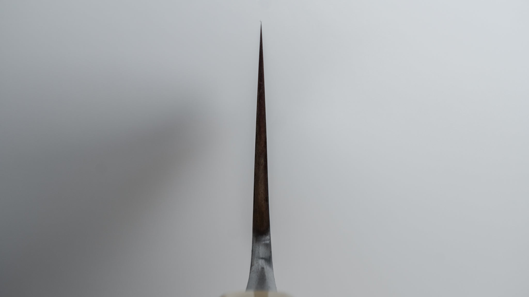 Premium Jiro Tsuchime Wa Gyuto 225mm Japanese Chef Knife with Taihei Tagayasan Handle (#283) - Perfect for Sushi, Meat Slicing & Professional Kitchen Use
