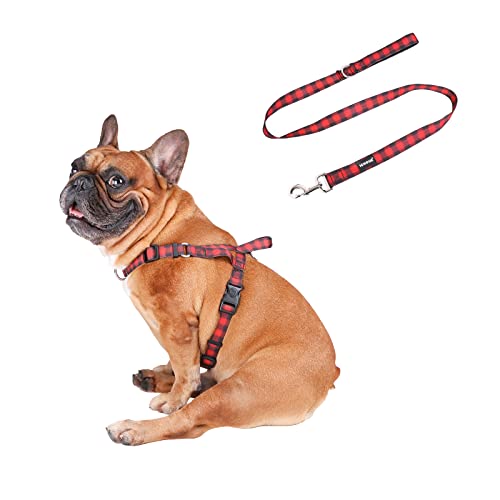 Red Grid Harness with Leash