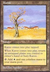 Magic: The Gathering - Karoo Land Card - Visions Expansion - Perfect for MTG Commander & Vintage Decks