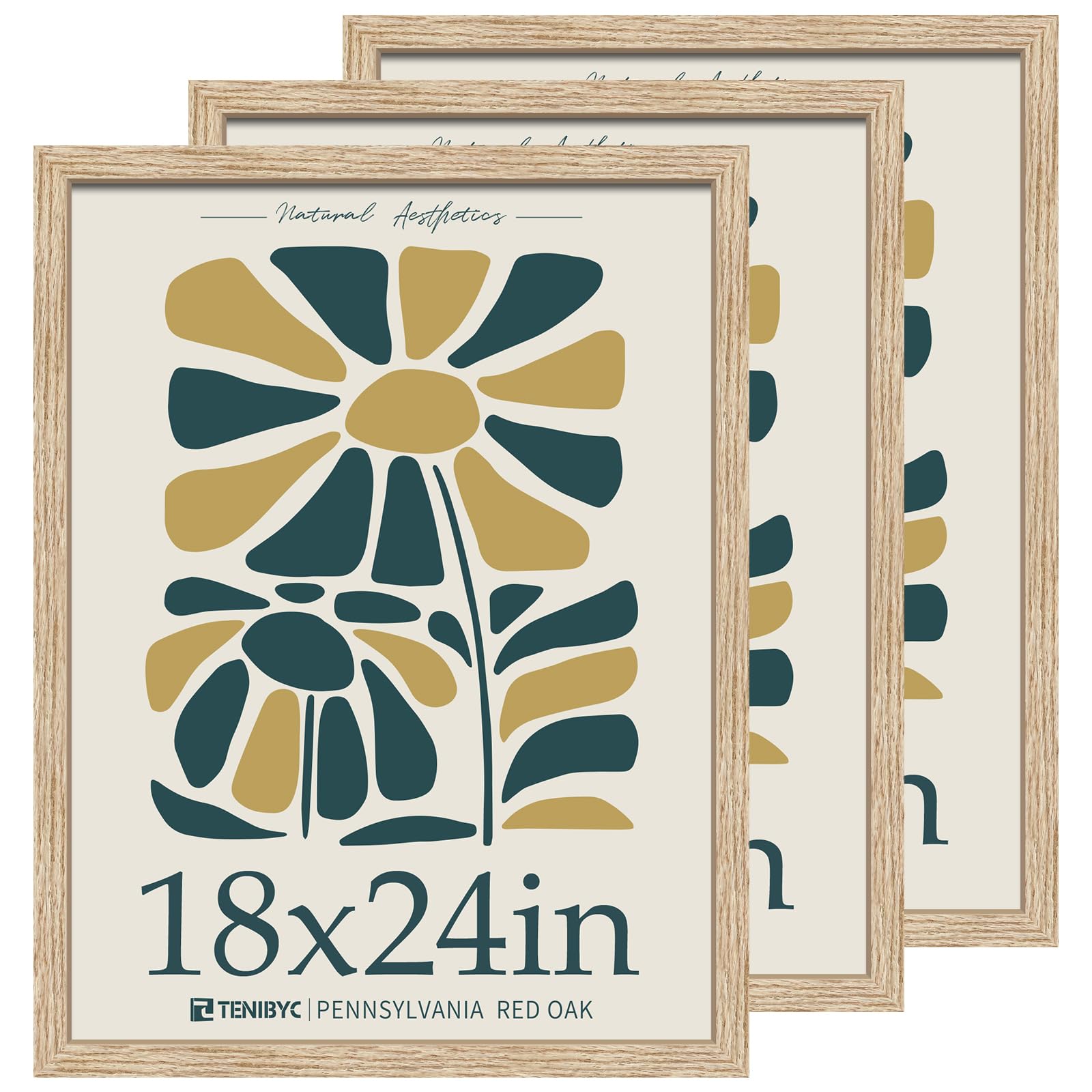 18x24 Oak Wood Poster Frame 3 Pack - Natural Solid Wood Picture Frame for Wall Art, Gallery Display, Home & Office Decor - Perfect for Photos, Posters, and Artwork
