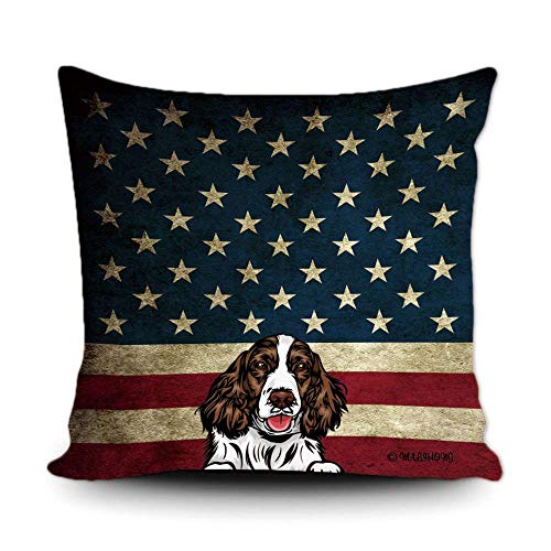 English Springer Spaniel-1