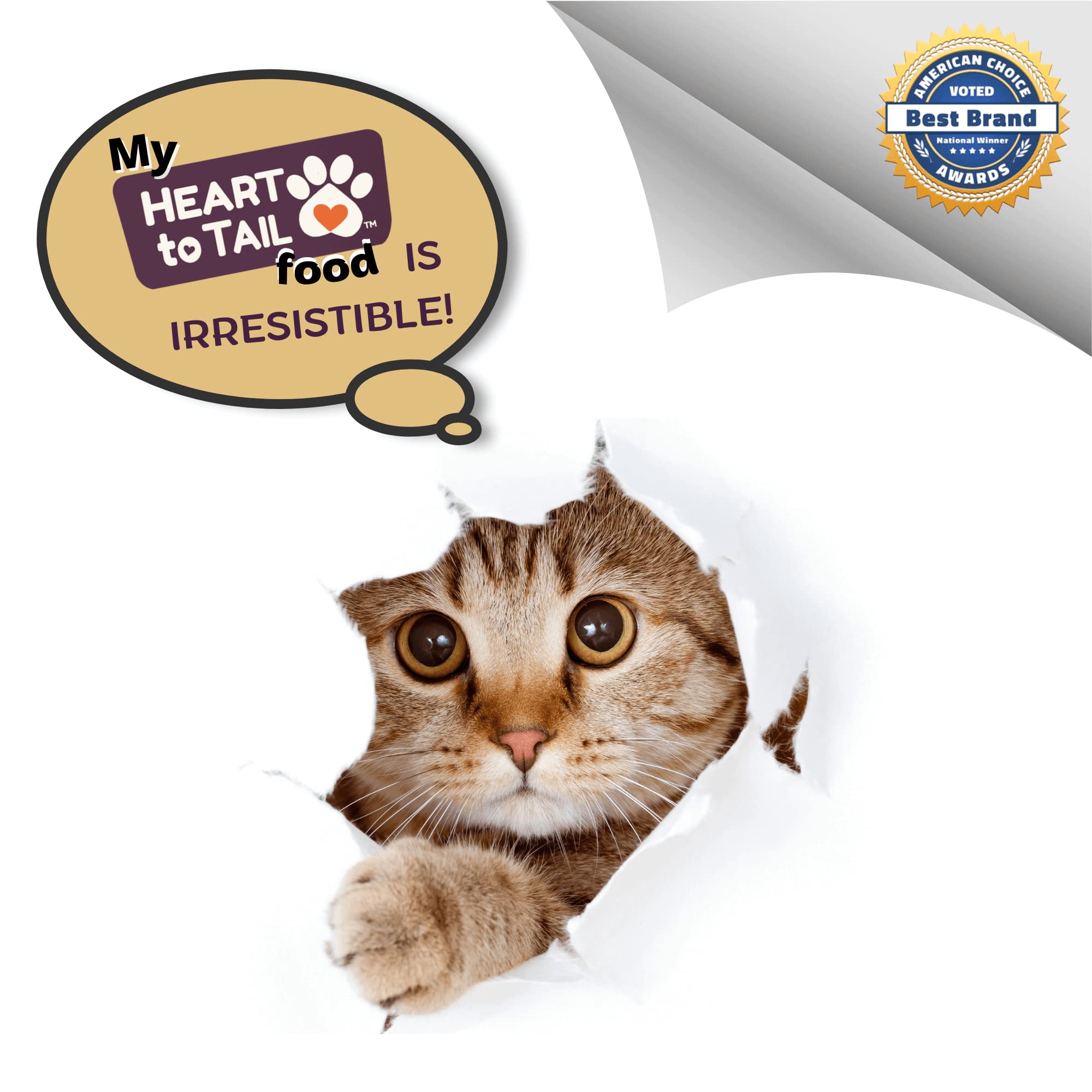 Premium CAT Food 5.5 OZ (15 Pack) Ocean Whitefish & Tuna Entree with Free Squeeze UP (4 UN) - High Protein Wet Cat Food for Adult & Senior Cats - Perfect for Mealtime, Travel & Treat Rewards