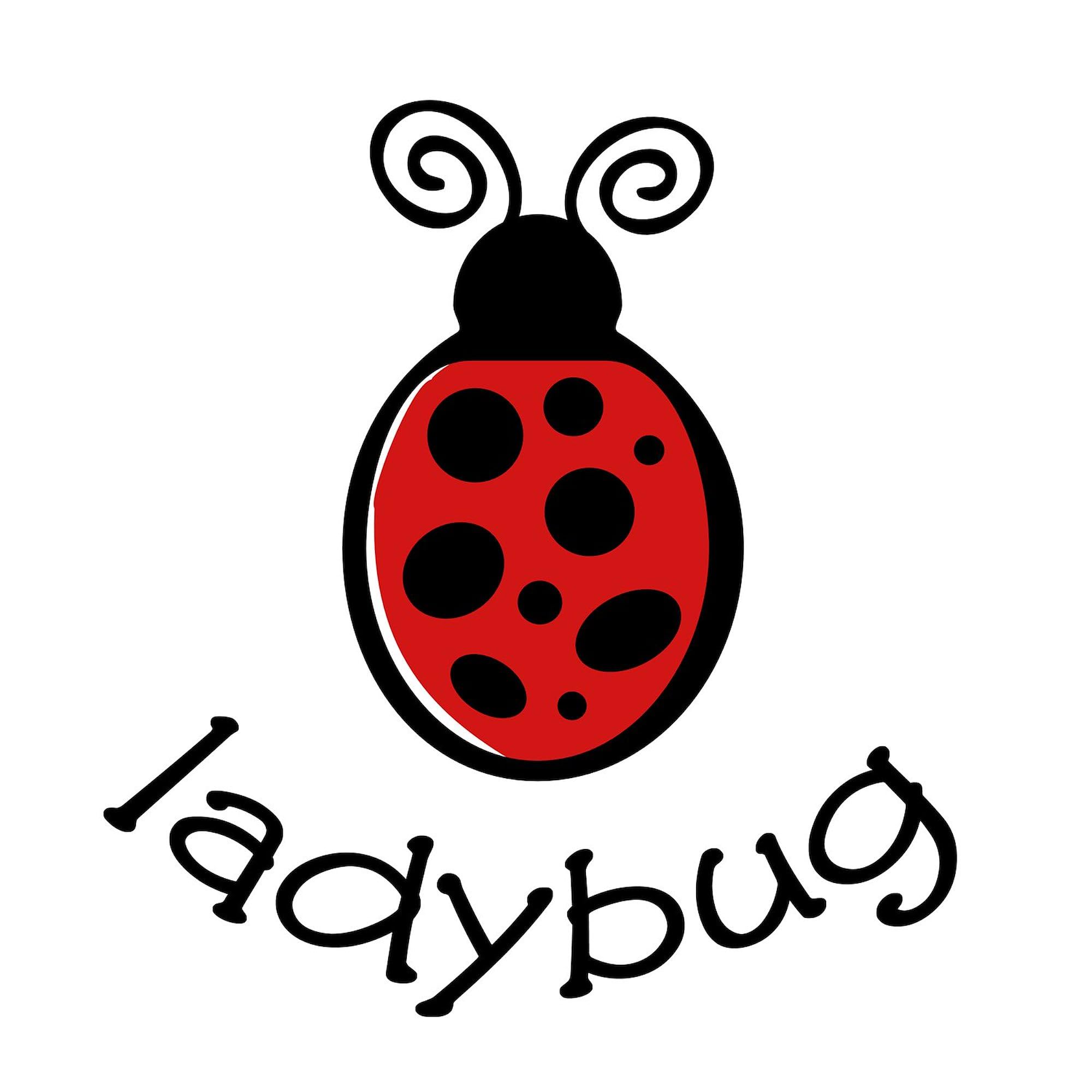 Ladybug Oval Car Bumper Sticker - Decorate Your Vehicle