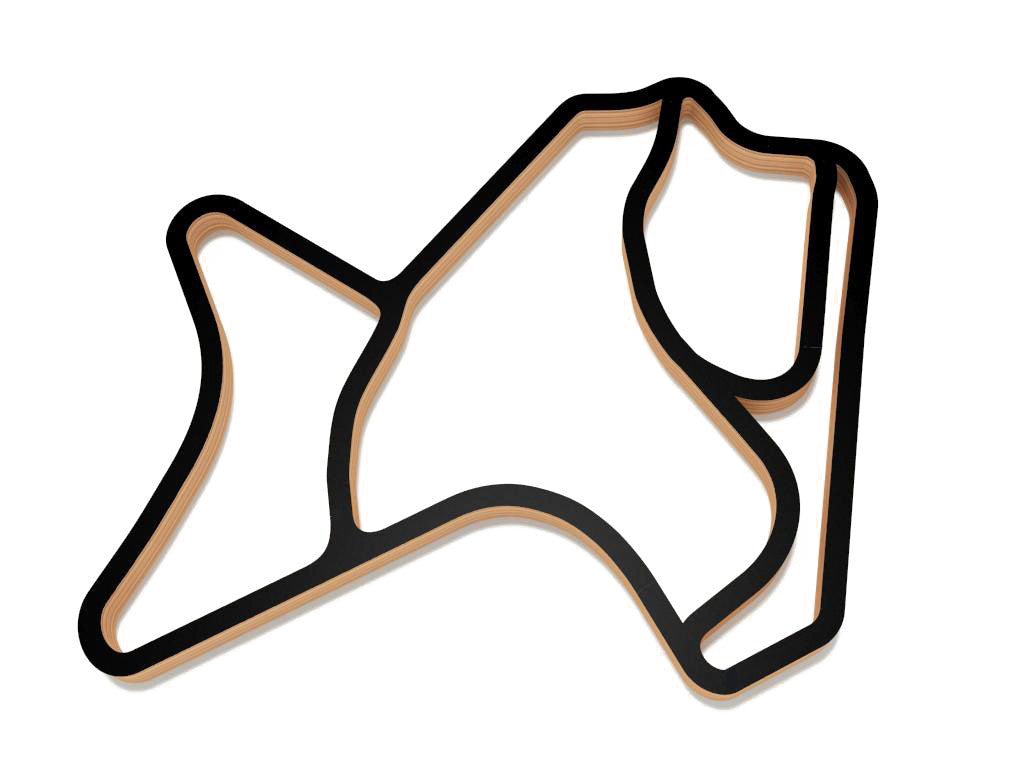 Morgan Park Raceway - High-Speed RC Car Racing Track Set for Kids & Adults - Perfect for Indoor & Outdoor Play, Birthday Gifts, and Family Fun