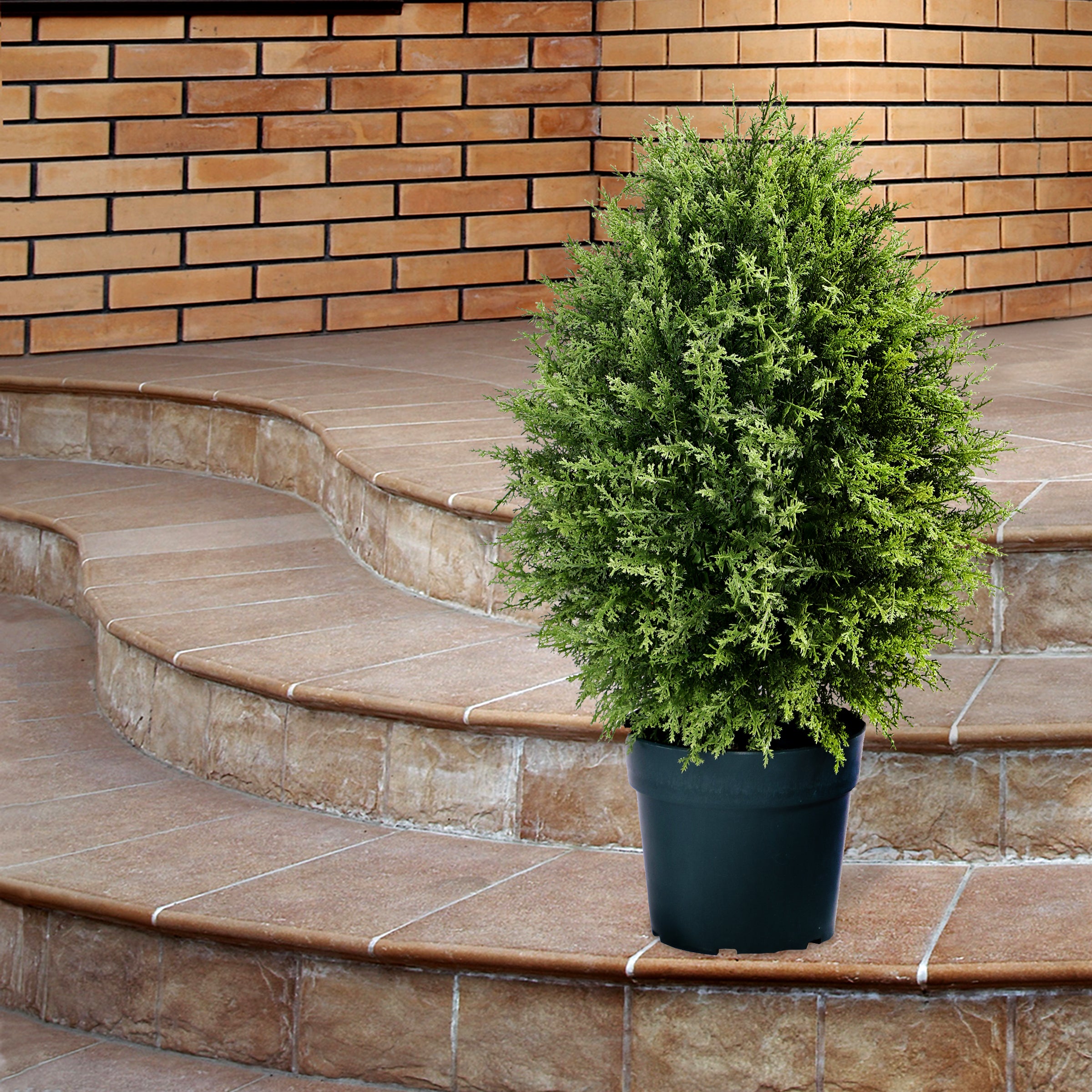 32 Inch Artificial Cypress Tree in Dark Green - Realistic Faux Plant in Round Growers Pot for Home, Office, and Indoor Decor