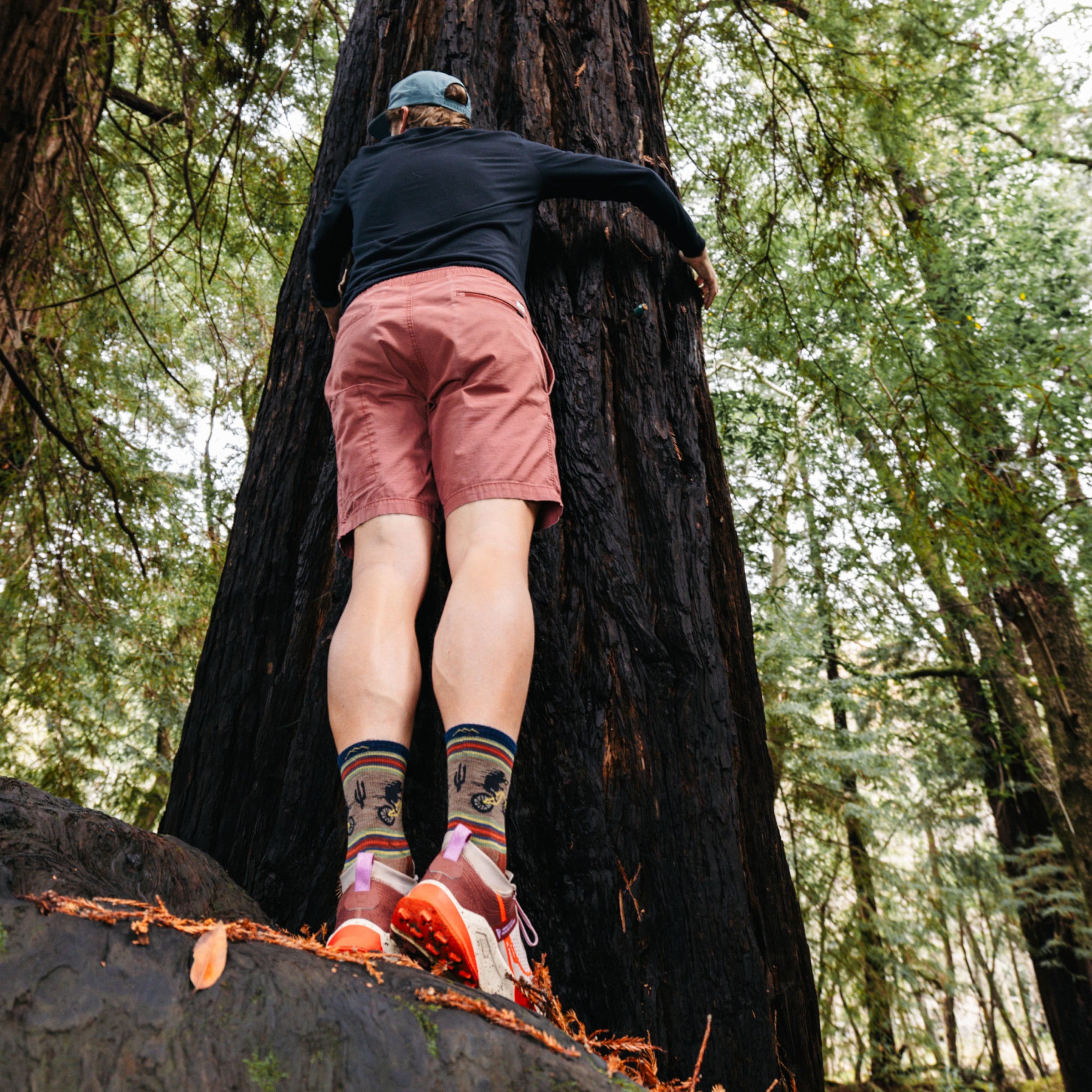 Men's Willoughby Micro Crew Lightweight Hiking Socks - Moisture-Wicking & Breathable for Outdoor Adventures, Trekking & Camping