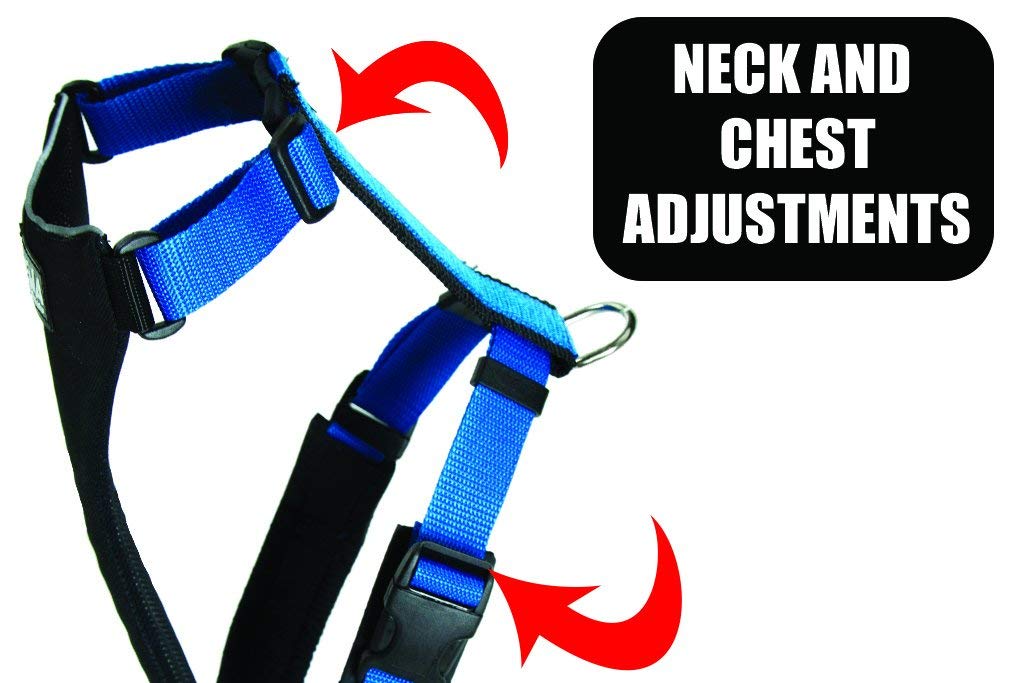 Neewa Reflective Dog Harness for Running, Hiking & Mushing - Small Size, Red - Durable & Adjustable for Pitbulls, Huskies & Active Dogs - Perfect for Outdoor Adventures & Night Walks