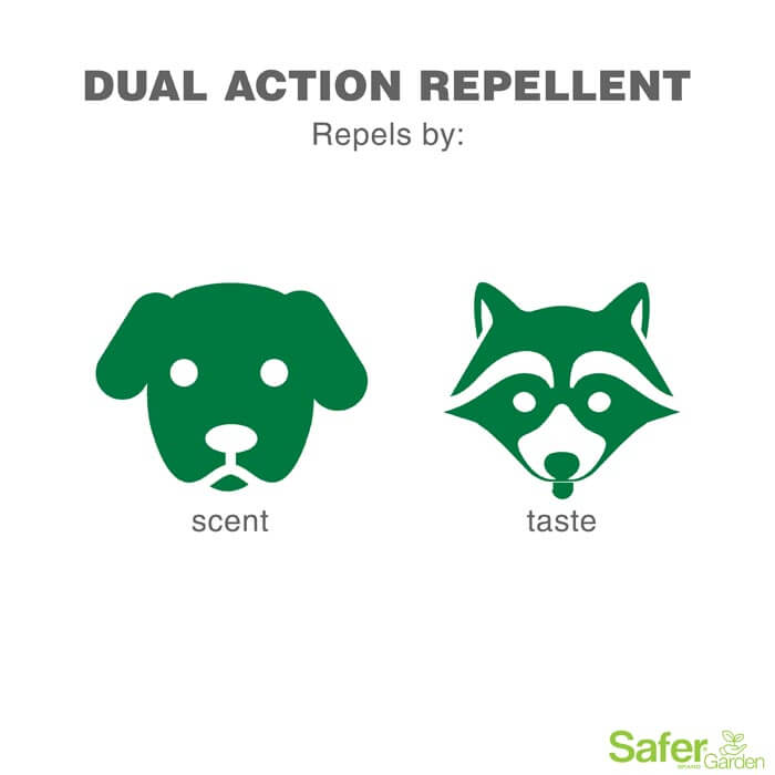 24 oz Ready-to-Use Garden Animal Repellent Spray - Natural Pest Control for Deer, Rabbits & Squirrels - Protect Flowers, Vegetables & Plants Outdoor