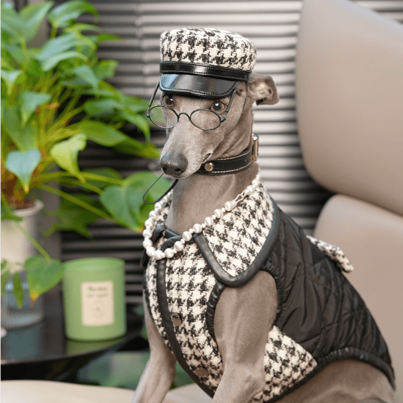 Stylish SOHO Dog Hat - Trendy Pet Accessory for Small & Medium Dogs - Perfect for Outdoor Walks, Photo Shoots & Fashion Events