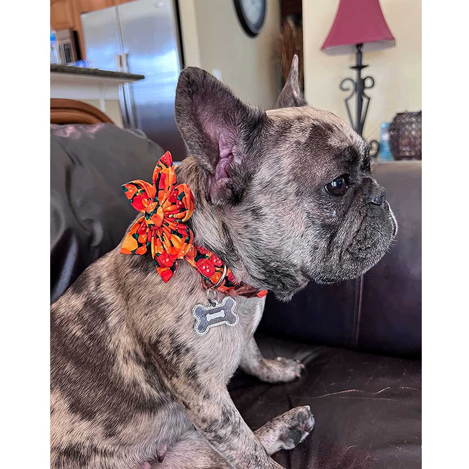 Premium Heavy Duty Adjustable Dog Collar with Flower - Lionheart Glory Fall & Halloween Pet Collar for Large Dogs | Durable, Stylish & Comfortable for Daily Walks, Training & Special Occasions