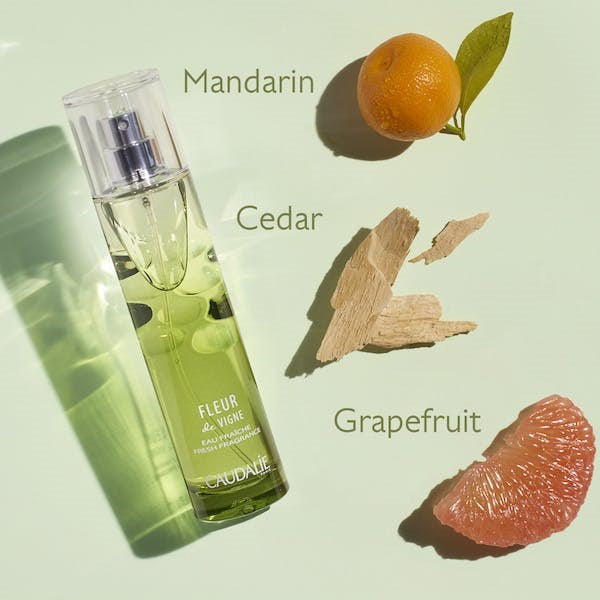 Fleur de Vigne Fragrance - Premium French-Inspired Floral Perfume for Women | Long-Lasting Scent for Daily Wear, Date Nights & Special Occasions