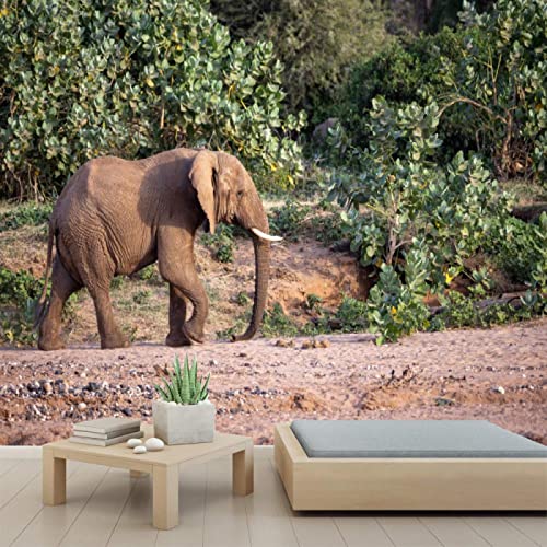 3D Elephant Africa Peel and Stick Wallpaper - Self-Adhesive PVC Wall Mural for Bedroom & Study Room Decor - 78
