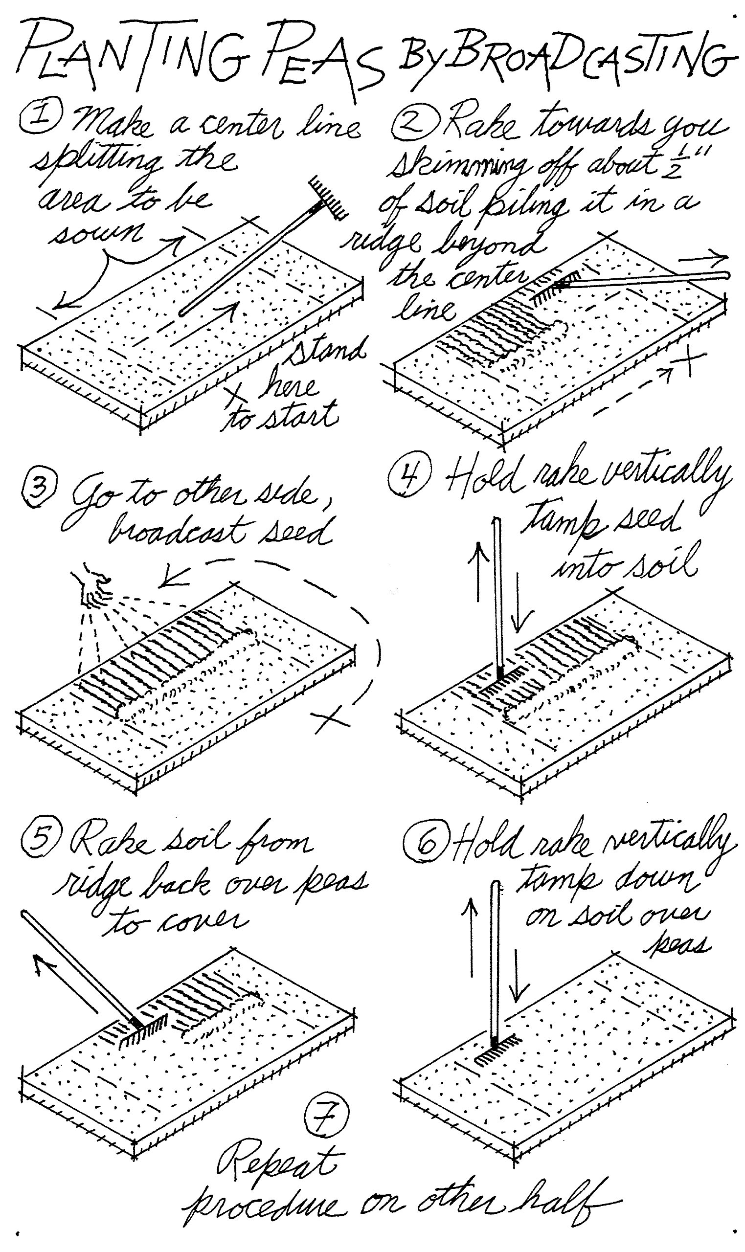 Easy Raised Bed Vegetable Gardening Kit - Grow Fresh Veggies at Home for Beginners & Urban Gardeners | Perfect for Backyards, Patios & Small Spaces