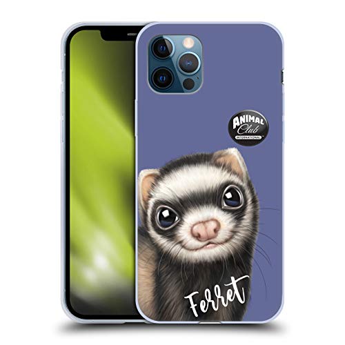 Ferret