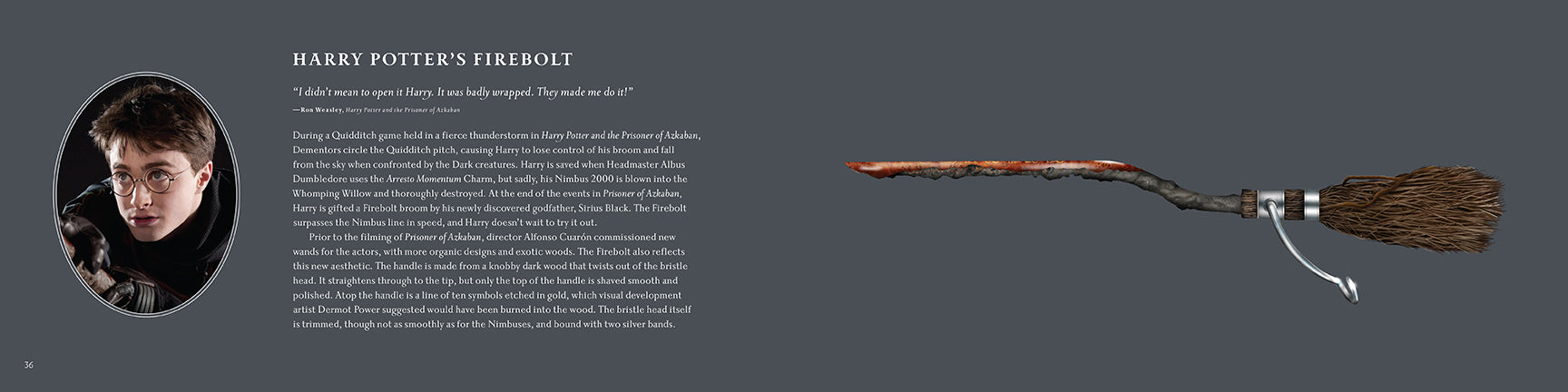 Harry Potter Broomstick Collection - Official Replica Flying Brooms for Fans & Collectors - Perfect for Cosplay, Halloween, and Home Decor
