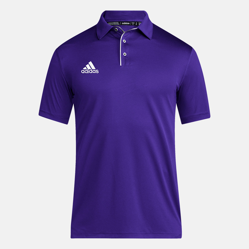 Purple/White