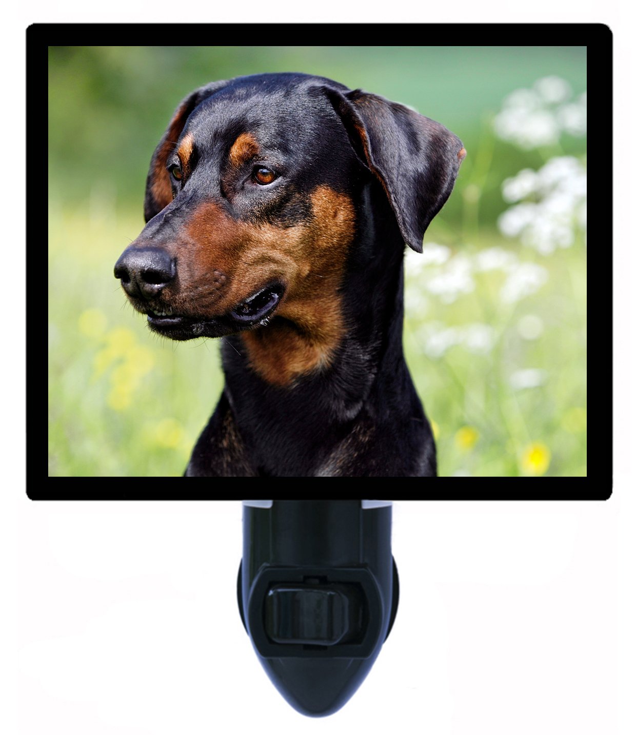 Doberman Dog LED Night Light - Soft Glow for Bedroom, Nursery & Pet Safety | Energy-Efficient & Soothing Night Light for Dogs