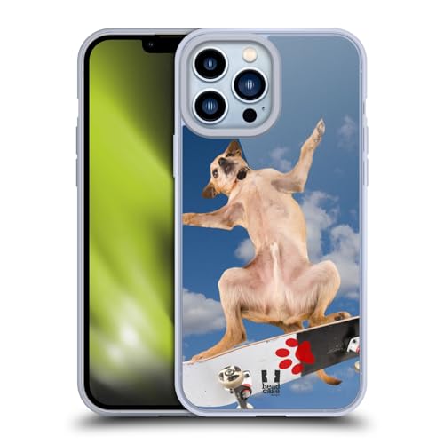 Cool Chihuahua Skater