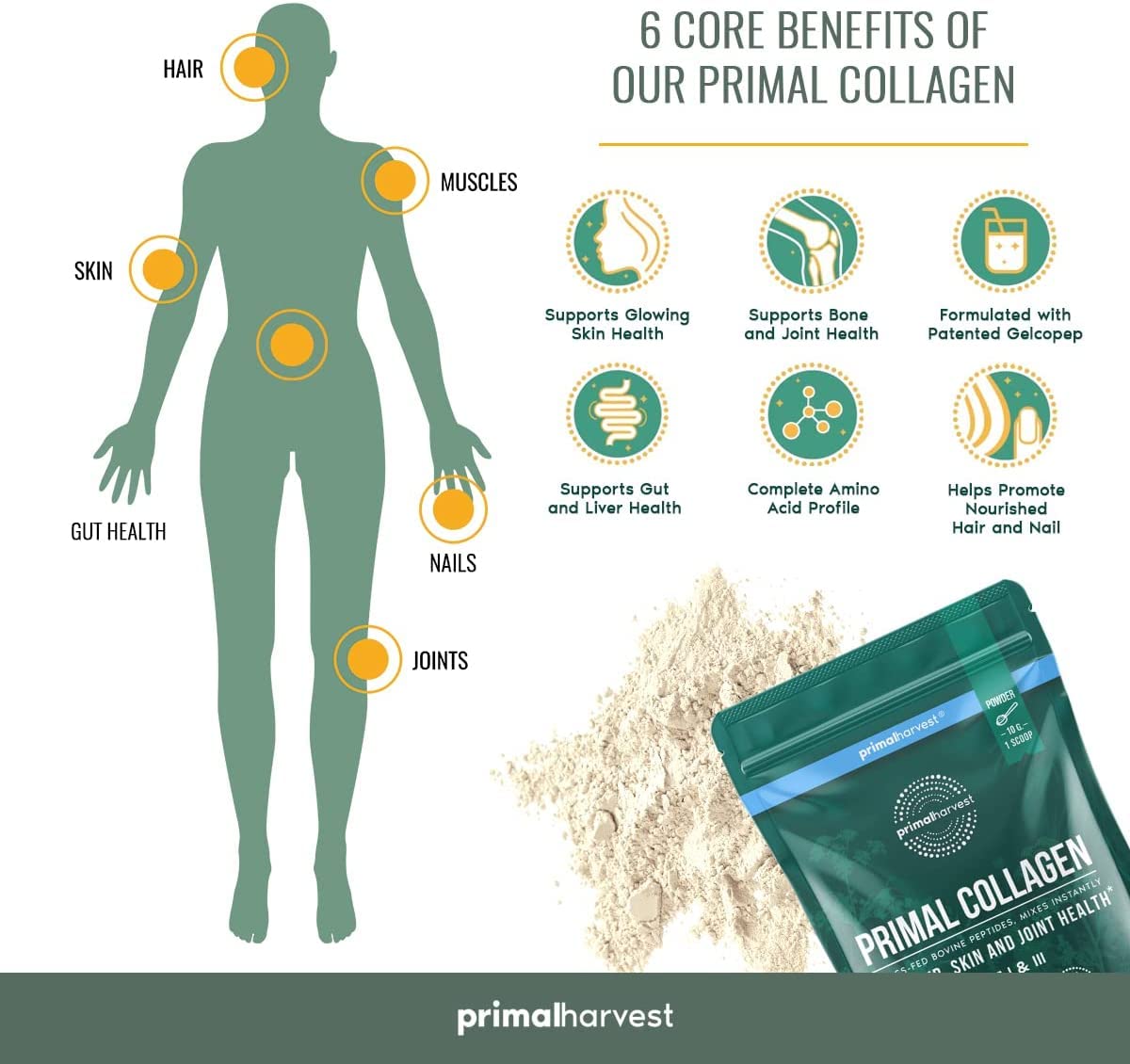 Primal Harvest Super Greens & Collagen Powder Supplement - Organic Superfood Blend with Collagen Peptides for Hair, Skin & Nail Health - Women & Men's Wellness Boost - Perfect for Smoothies, Shakes & Daily Nutrition Support