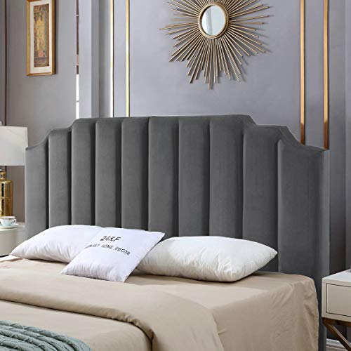 Dark Gray Velvet-king