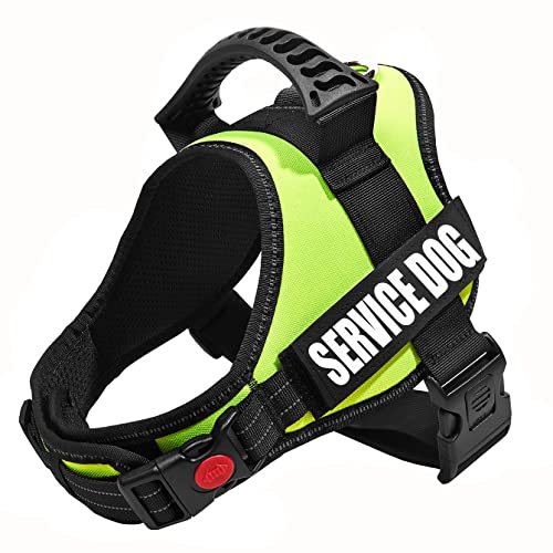 Fluorescent Green